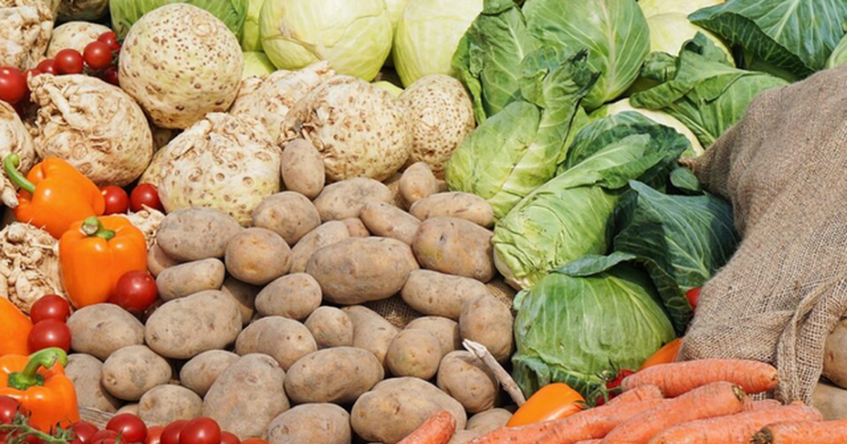 Çmimet e eksportit të zarzavateve shqiptare në gusht, rritje vjetore 5.2%