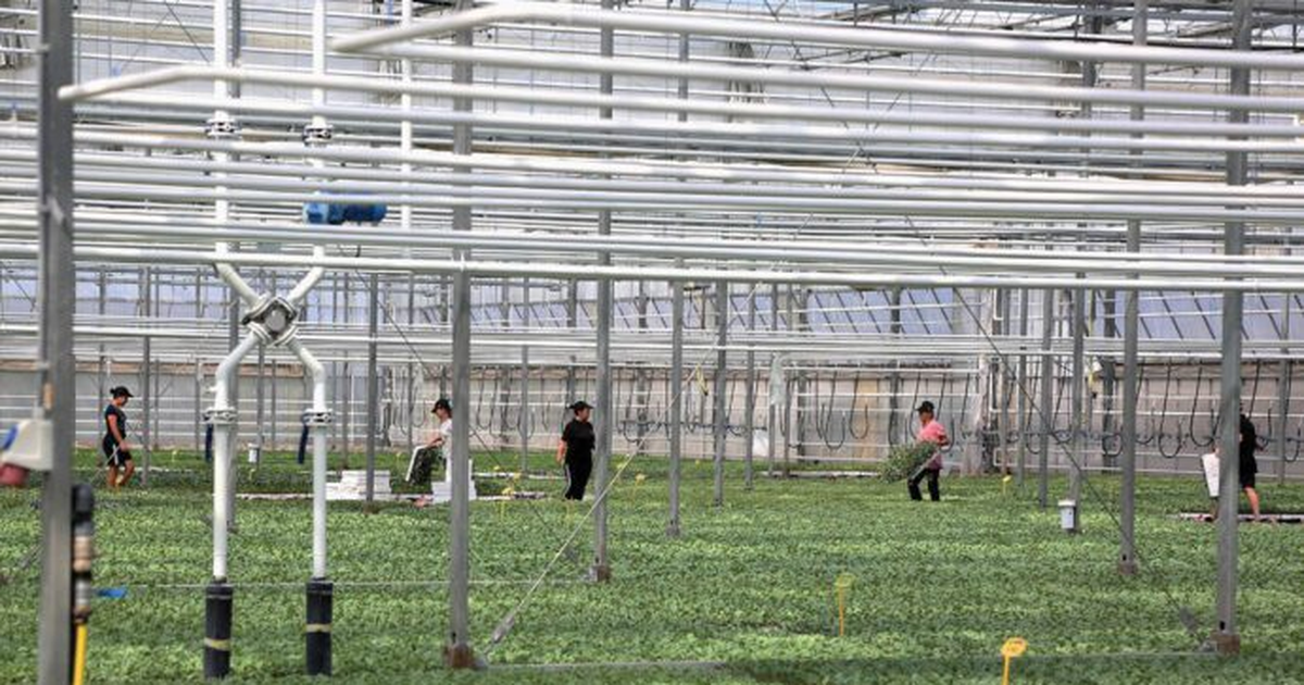 Për të tretin vit radhazi në rënie…“Bllokimi” i bujqësisë dhe prova e madhe e Shqipërisë për fondet europiane