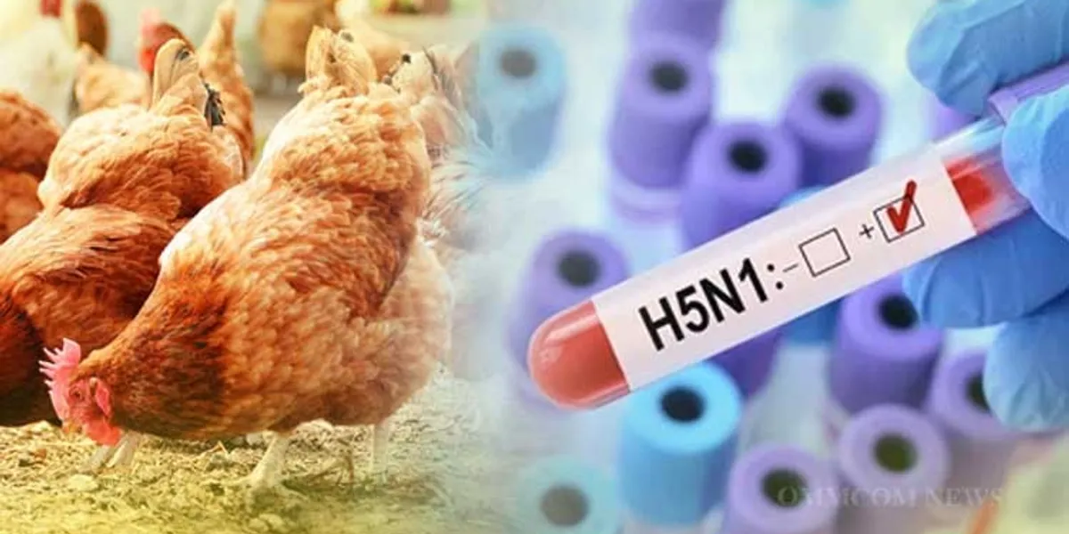 Kosova mban masat kundër gripit të shpezëve, ndalohet importi nga disa zona gjermane