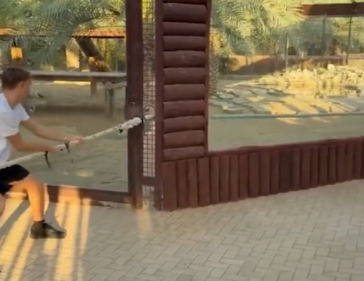 VIDEO/ Aventurë në Dubai, futbollisti i Realit sfidon një luan për… Krishtlindje