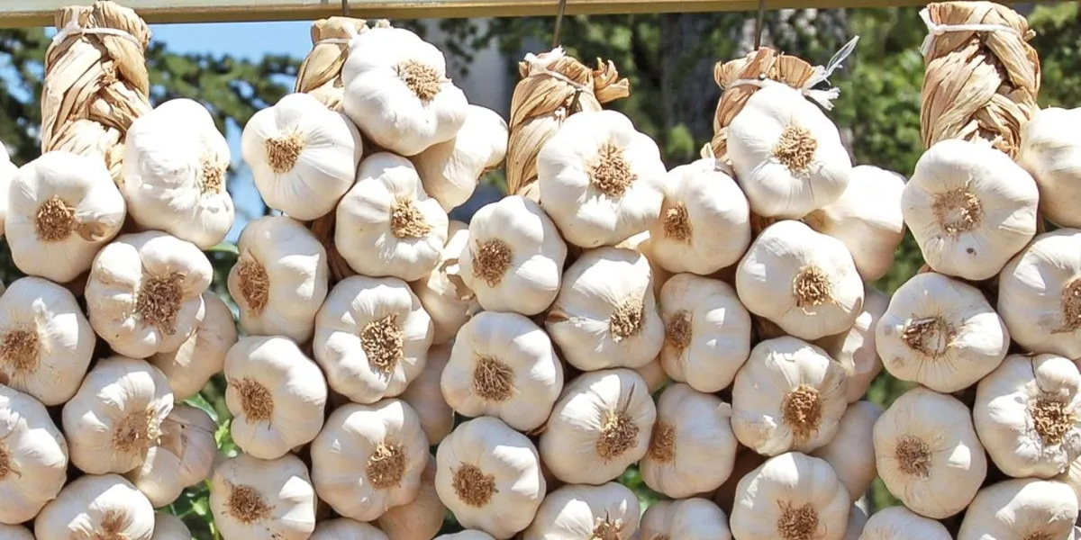 “Mbi 60 mijë euro hudhra”, Kosova shpenzoi gati 900 milionë euro për mall kinez