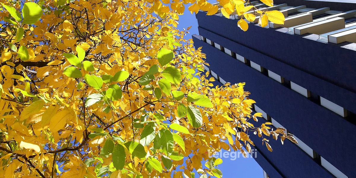 Hoti: Sheraton, Marriott dhe Hilton, brendet që po i japin një imazh të ri turizmit në Kosovë