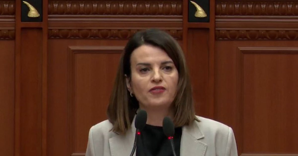 Shoqërimi i të miturit gjatë protestës së PD, Koçiu: Gjuajti me gurë efektivët, çdo veprim u krye sipas ligjit (VIDEO)