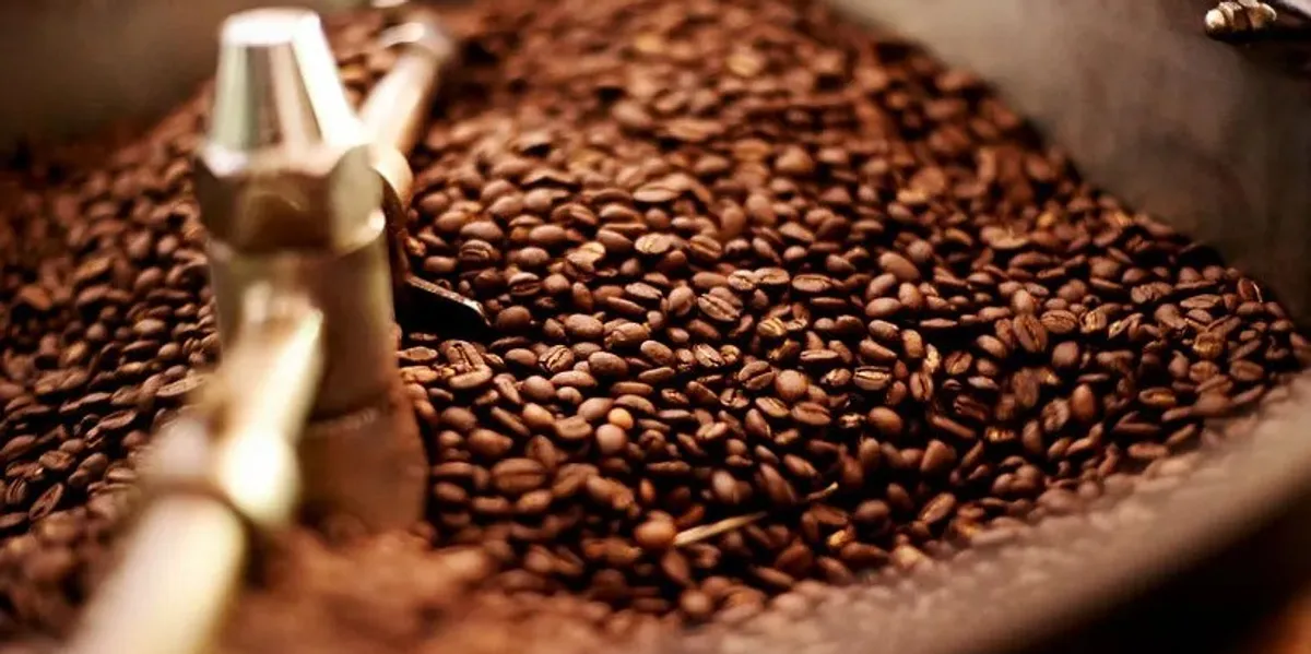 Gjermania tejkalon SHBA-në si blerësi kryesor i kafesë braziliane