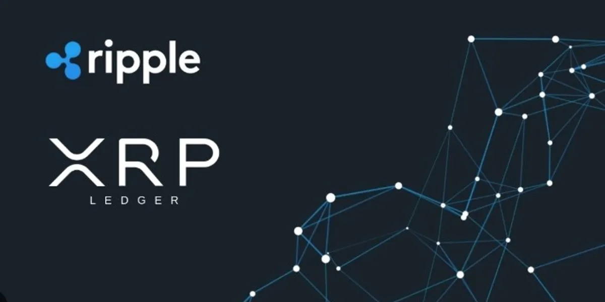 Si i humbi amerikani mbi 1 milion dollarë në kriptovaluta?