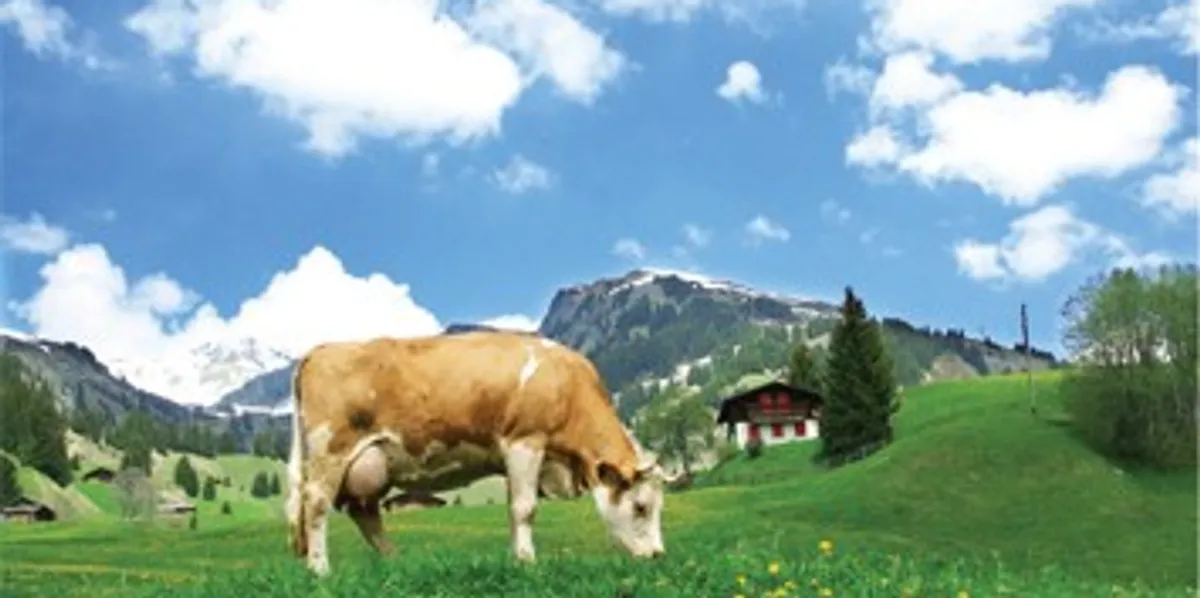 Ministria e Bujqësisë zgjat afatin e aplikimit për pagesa direkte për fermerët