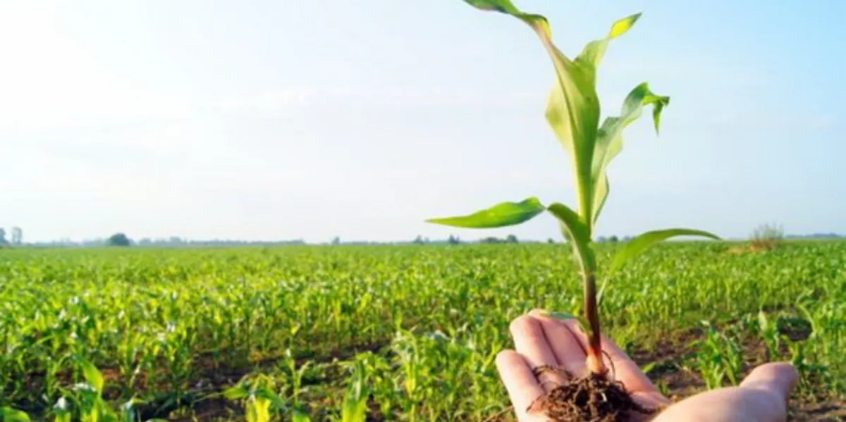 ASK publikon të dhënat: Rritje e çmimeve në sektorin bujqësor