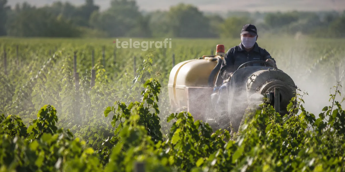 Pesticidet po shtrenjtohen, spërkatjet s’ndalen – se çka po ndodh në arat e Kosovës zbulojnë shifrat dhe ekspertët