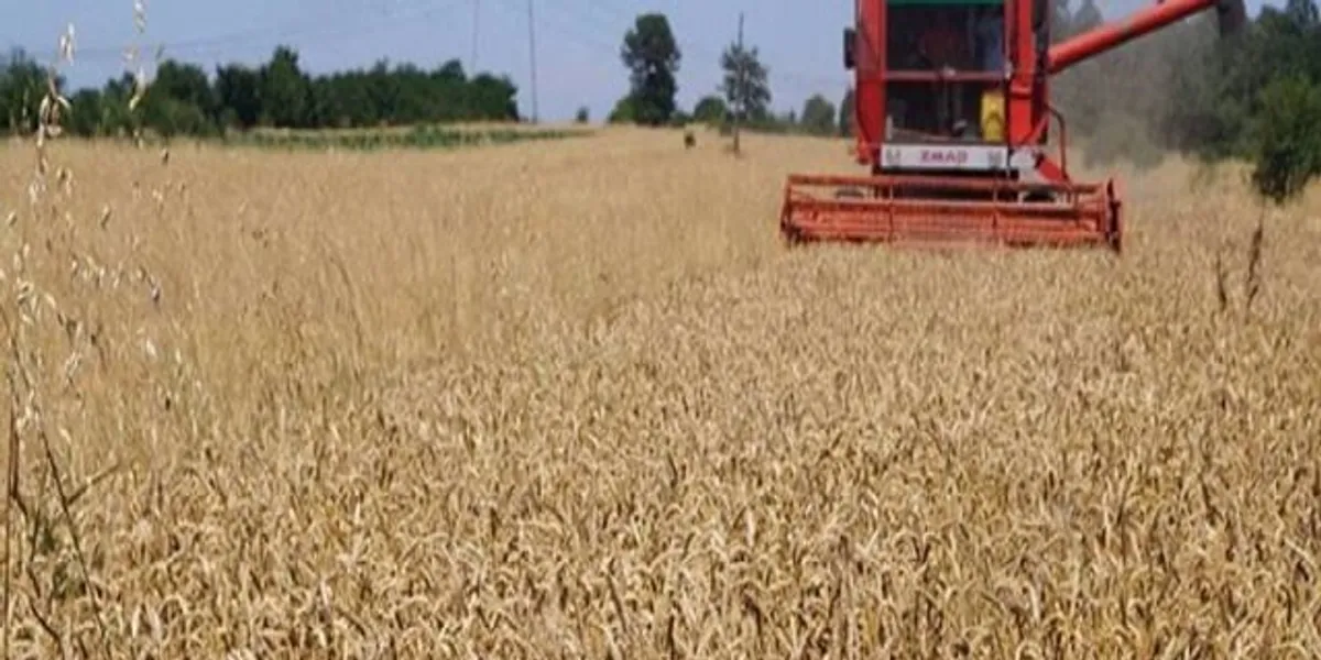 Vazhdojnë përgatitjet, fermerët dhe ekspertët presin rendimente të larta